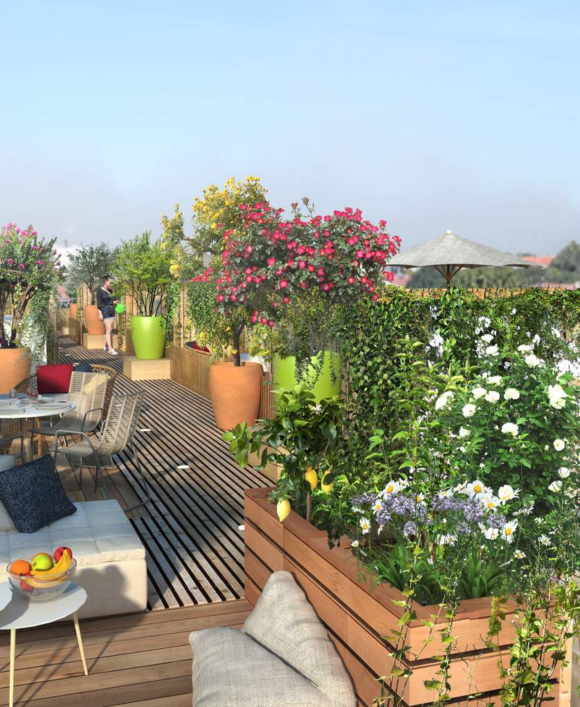 Villa Clematite