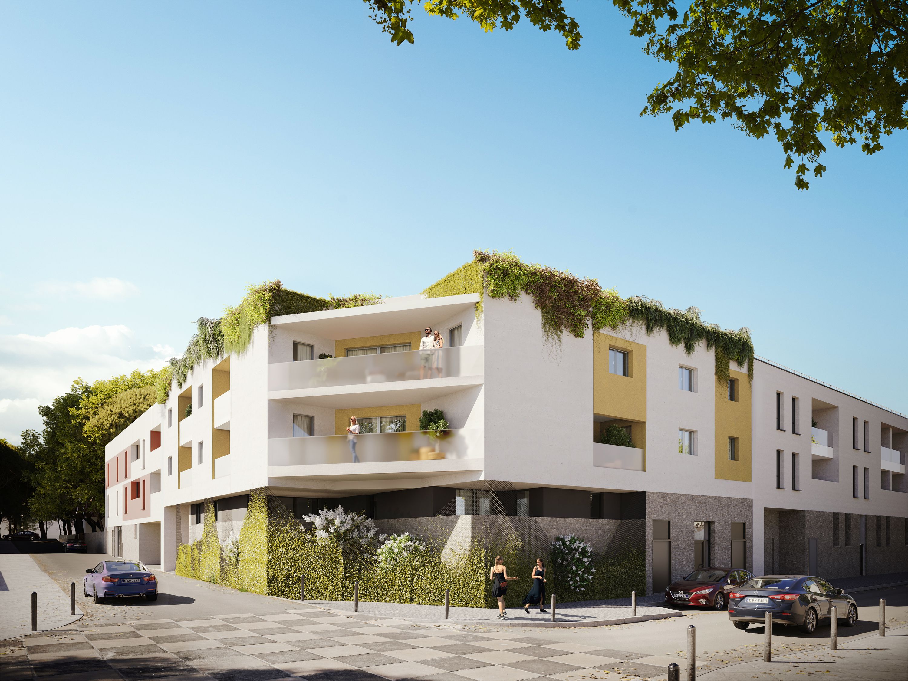 Blanc Coton