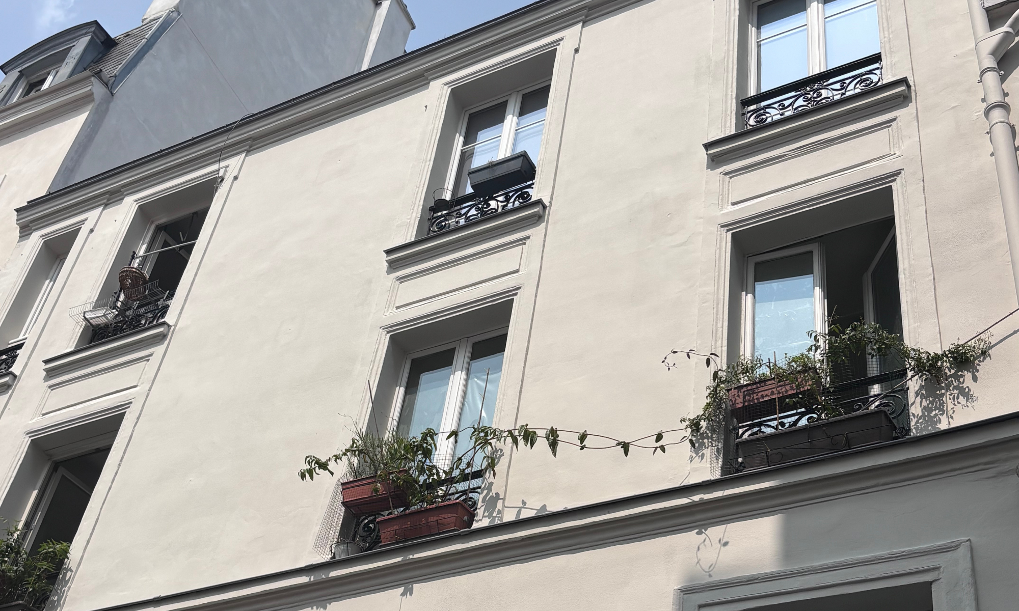 PARIS 11 - Lappe